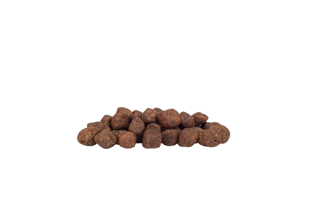 WorkingHPRs Puppy – Grain Free Chicken, Turkey & Salmon
