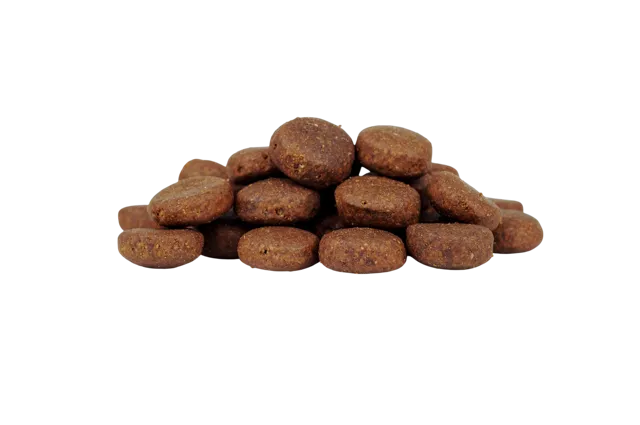 WorkingHPRs Puppy – Grain Free Large Breed Salmon with Sweet Potato