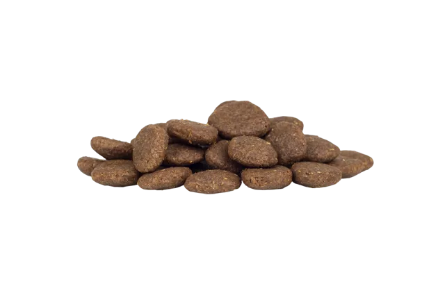 WorkingHPRs Puppy – Large Breed Salmon & Potato