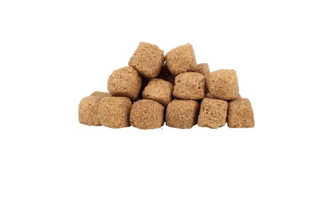 WorkingHPRs Working Dog – Chicken & Rice Cube