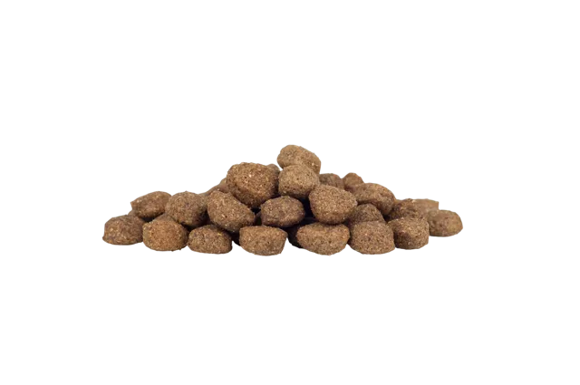 WorkingHPRs Working Dog – Lamb & Rice
