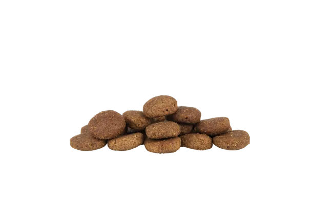 WorkingHPRs Working Dog – Large Breed Chicken & Rice