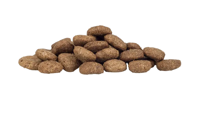 WorkingHPRs Working Dog – Turkey & Rice