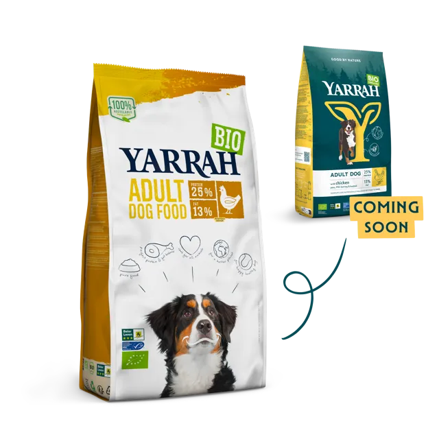Yarrah Adult – —