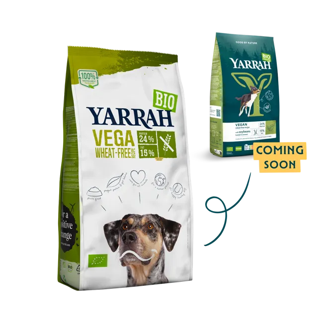 Yarrah Adult Vega – —
