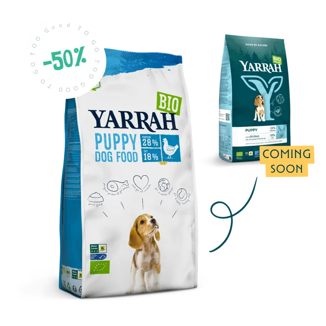 Yarrah Puppy – —