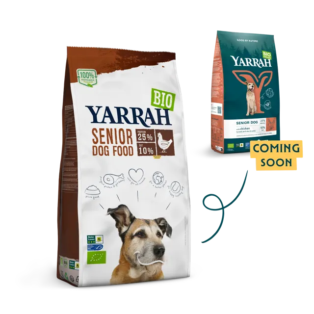 Yarrah Senior – —