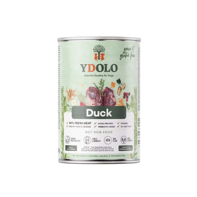 Ydolo Adult Wet – Duck