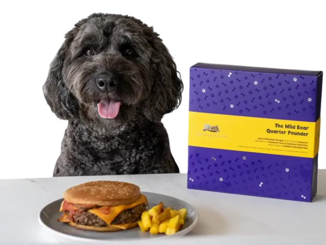 Years Chef's Collection – Wild Boar Quarter Pounder Burger with Cheese