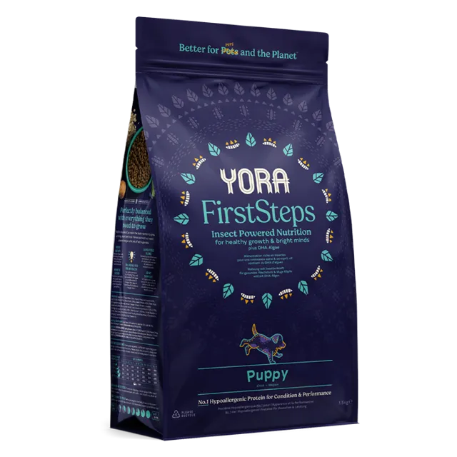 Yora First Steps – —