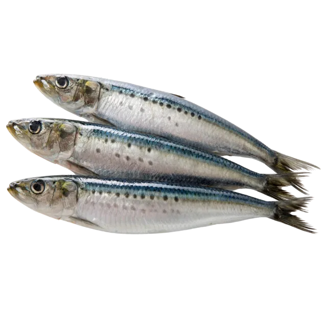 Yumwoof Perfect Superfood – Wild Caught Fish